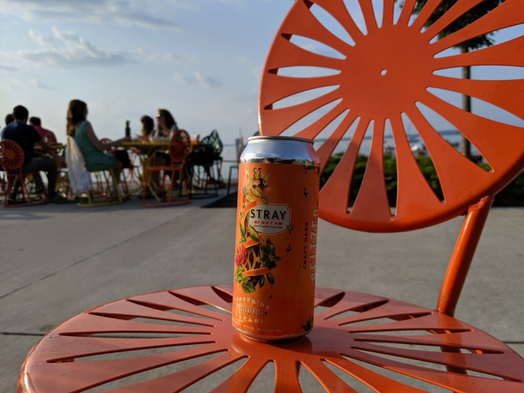 Safari on Safari.jpg